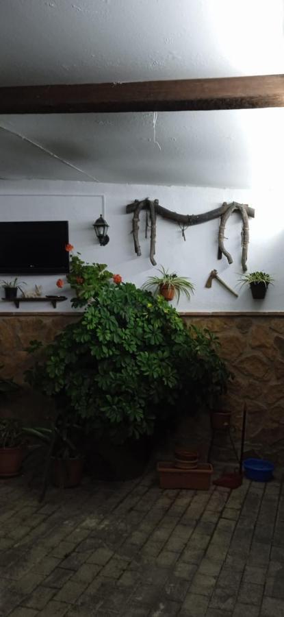 Casa Cueva El Almendro Guest House Pegalajar Ngoại thất bức ảnh