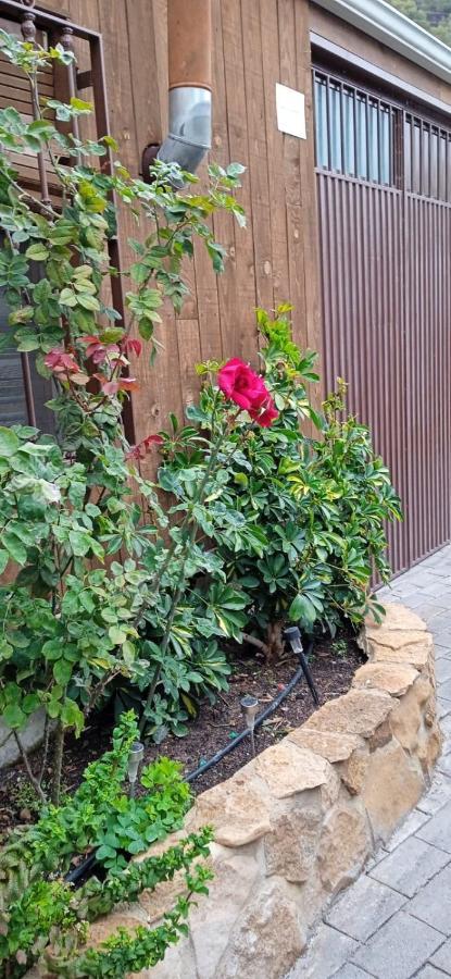 Casa Cueva El Almendro Guest House Pegalajar Ngoại thất bức ảnh